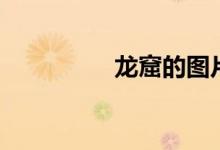 龙窟的图片（龙窟地图）