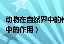动物在自然界中的作用有哪些（动物在自然界中的作用）