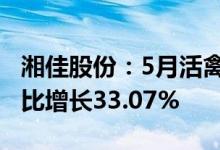 湘佳股份：5月活禽销售收入7517.41万元 环比增长33.07%