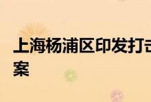 上海杨浦区印发打击非法集资专项行动实施方案