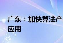 广东：加快算法产品供给 鼓励企业加大算法应用