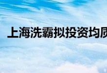 上海洗霸拟投资均质硅碳负极材料生产项目