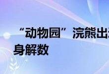“动物园”浣熊出逃！为救它 消防员使出浑身解数