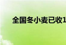 全国冬小麦已收1.9亿亩 收获进度过半