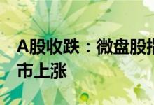 A股收跌：微盘股指数跌超6% 贵金属板块逆市上涨