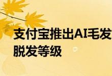 支付宝推出AI毛发自测工具 上传照片即可测脱发等级