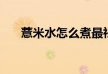 薏米水怎么煮最祛湿（薏米水怎么煮）
