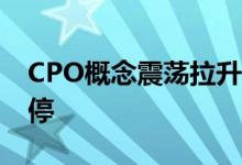 CPO概念震荡拉升 威尔高、科翔股份双双涨停
