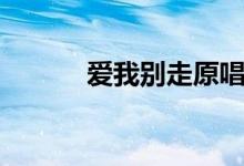爱我别走原唱是谁（爱我别走）