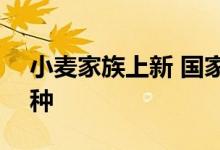 小麦家族上新 国家审定通过135个小麦新品种