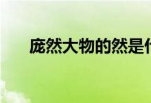 庞然大物的然是什么（庞然大物的然）