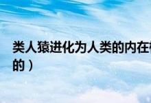 类人猿进化为人类的内在根据是什么（类人猿是什么进化来的）