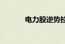 电力股逆势拉升 深南电A涨停