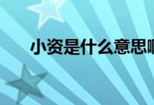 小资是什么意思啊（小资是什么意思）