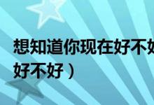 想知道你现在好不好是什么歌（想知道你现在好不好）