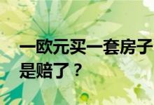 一欧元买一套房子？有人欢喜有人忧 赚了还是赔了？