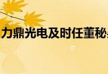力鼎光电及时任董秘吴泓越遭上交所监管警示