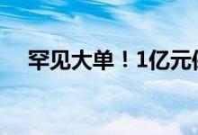 罕见大单！1亿元保费 一次性全额缴清！