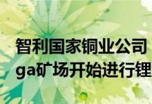 智利国家铜业公司 ：目标是2030年Maricunga矿场开始进行锂生产