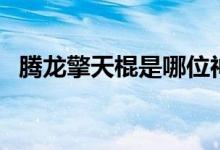 腾龙擎天棍是哪位神家用的（腾龙擎天棍）