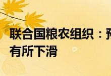 联合国粮农组织：预计全球玉米和小麦产量将有所下滑