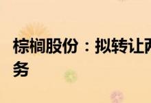 棕榈股份：拟转让两家全资子公司股权抵偿债务