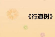 《行道树》（行道树原文）