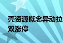 壳资源概念异动拉升 申科股份、中天服务双双涨停