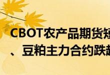 CBOT农产品期货短线下挫 CBOT大豆、豆油、豆粕主力合约跌超1%