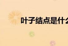 叶子结点是什么意思（叶子节点）