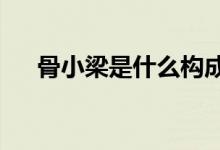骨小梁是什么构成的?（骨小梁是什么）