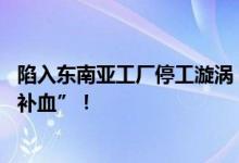 陷入东南亚工厂停工漩涡 光伏巨头隆基绿能火速开启百亿“补血”！