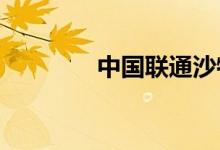 中国联通沙特公司正式开业