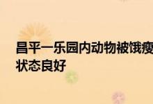 昌平一乐园内动物被饿瘦 当地回应：每日投喂 大部分动物状态良好