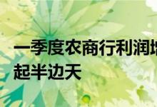 一季度农商行利润增长一枝独秀，投资收益撑起半边天