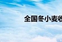 全国冬小麦收获进度已过七成