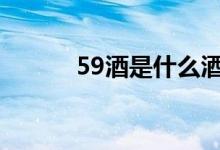 59酒是什么酒（冰酒是什么酒）