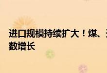 进口规模持续扩大！煤、天然气等大宗商品进口量实现两位数增长