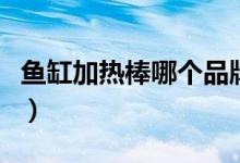鱼缸加热棒哪个品牌质量好耐用（鱼缸加热棒）