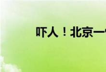 吓人！北京一快递柜中有蛇出没