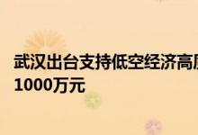 武汉出台支持低空经济高质量发展措施 单笔奖励企业资金达1000万元
