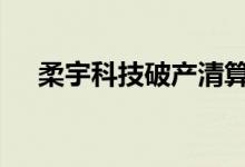 柔宇科技破产清算获受理 管理人已指定