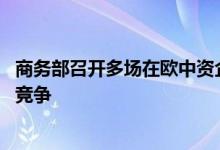 商务部召开多场在欧中资企业座谈会 倡导中欧合作共赢良性竞争