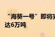 “海葵一号”即将完成海上安装：最大储油量达6万吨