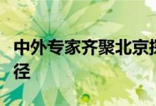 中外专家齐聚北京探讨长城保护传承利用新路径