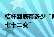 秸秆到底有多少“隐藏技能”？一起看秸秆“七十二变”