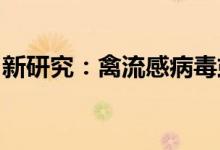 新研究:禽流感病毒或可通过“挤牛奶”传播