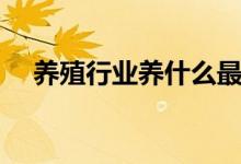 养殖行业养什么最赚钱（养什么最赚钱）