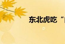 东北虎吃“肉粽子”过端午