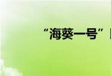 “海葵一号”即将完成海上安装